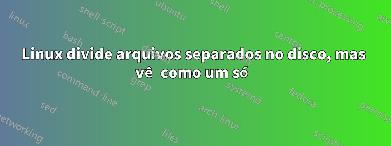 Linux divide arquivos separados no disco, mas vê como um só