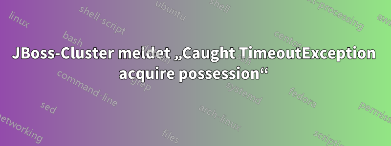 JBoss-Cluster meldet „Caught TimeoutException acquire possession“