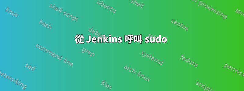 從 Jenkins 呼叫 sudo