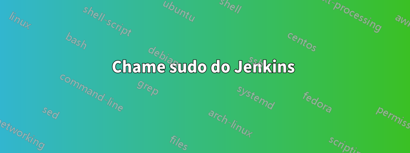 Chame sudo do Jenkins