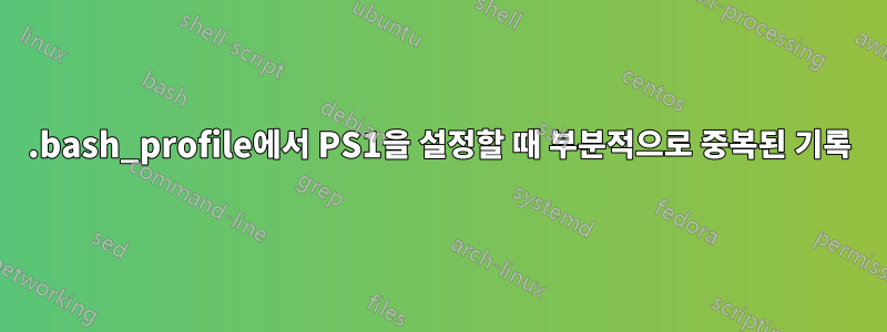 .bash_profile에서 PS1을 설정할 때 부분적으로 중복된 기록