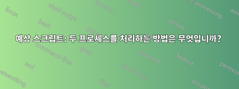 예상 스크립트: 두 프로세스를 처리하는 방법은 무엇입니까?