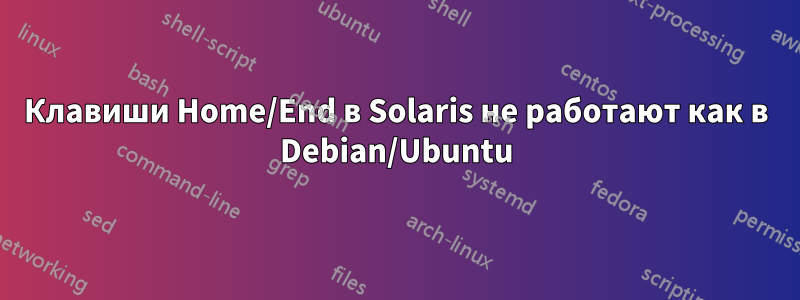 Клавиши Home/End в Solaris не работают как в Debian/Ubuntu