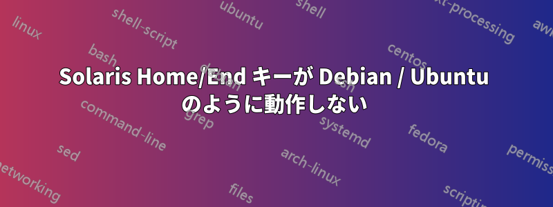 Solaris Home/End キーが Debian / Ubuntu のように動作しない