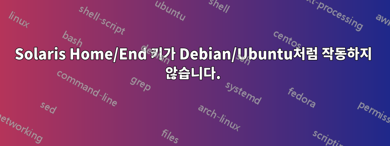 Solaris Home/End 키가 Debian/Ubuntu처럼 작동하지 않습니다.