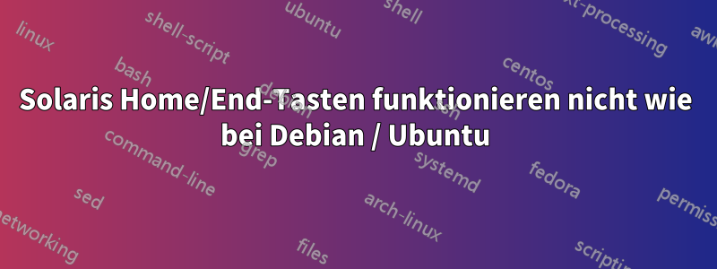 Solaris Home/End-Tasten funktionieren nicht wie bei Debian / Ubuntu