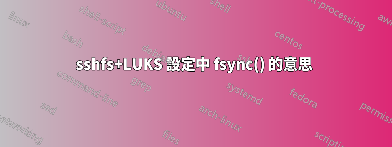 sshfs+LUKS 設定中 fsync() 的意思