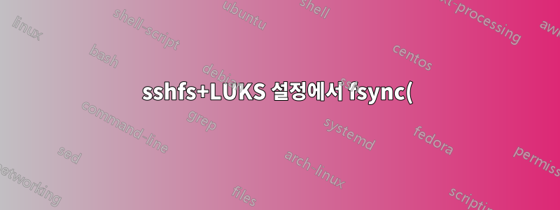 sshfs+LUKS 설정에서 fsync()의 의미
