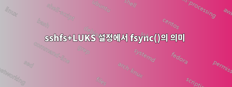 sshfs+LUKS 설정에서 fsync()의 의미