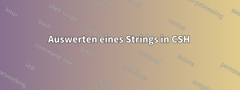 Auswerten eines Strings in CSH