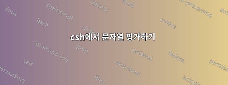 csh에서 문자열 평가하기