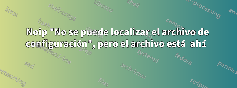 Noip "No se puede localizar el archivo de configuración", pero el archivo está ahí