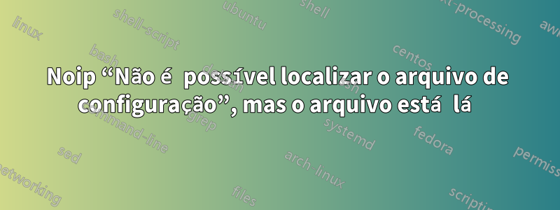 Noip “Não é possível localizar o arquivo de configuração”, mas o arquivo está lá