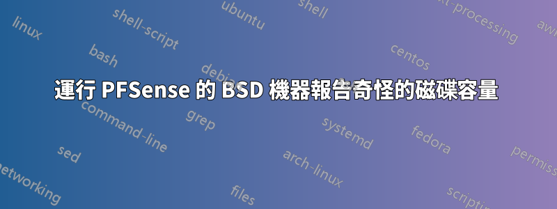 運行 PFSense 的 BSD 機器報告奇怪的磁碟容量