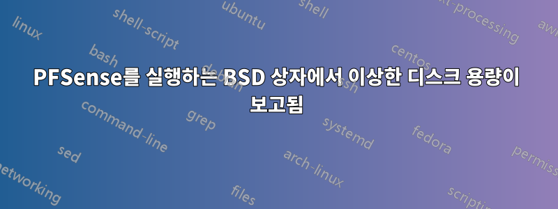 PFSense를 실행하는 BSD 상자에서 이상한 디스크 용량이 보고됨