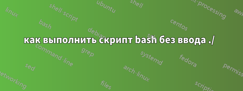 как выполнить скрипт bash без ввода ./ 