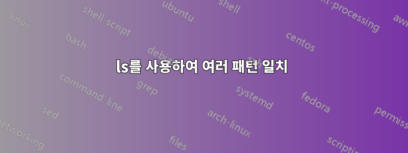 ls를 사용하여 여러 패턴 일치