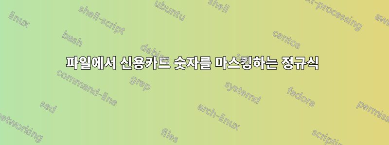 파일에서 신용카드 숫자를 마스킹하는 정규식