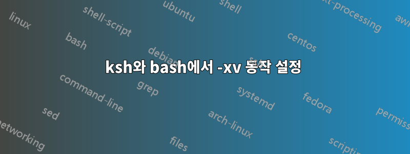 ksh와 bash에서 -xv 동작 설정