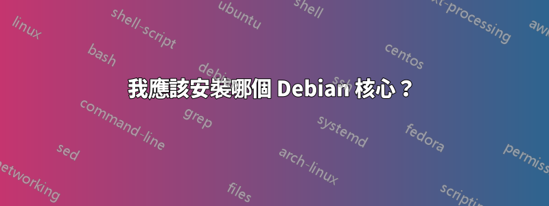 我應該安裝哪個 Debian 核心？