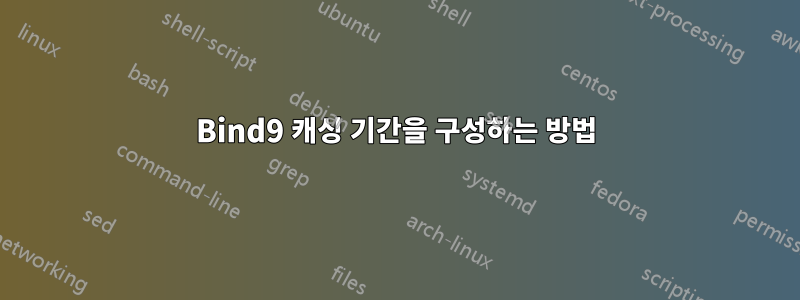 Bind9 캐싱 기간을 구성하는 방법