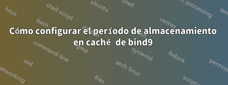 Cómo configurar el período de almacenamiento en caché de bind9