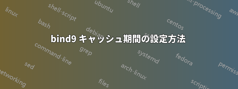 bind9 キャッシュ期間の設定方法