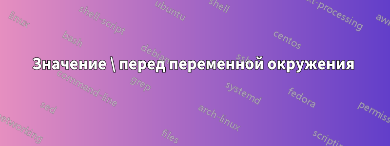 Значение \ перед переменной окружения