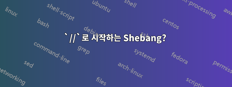 `//`로 시작하는 Shebang?