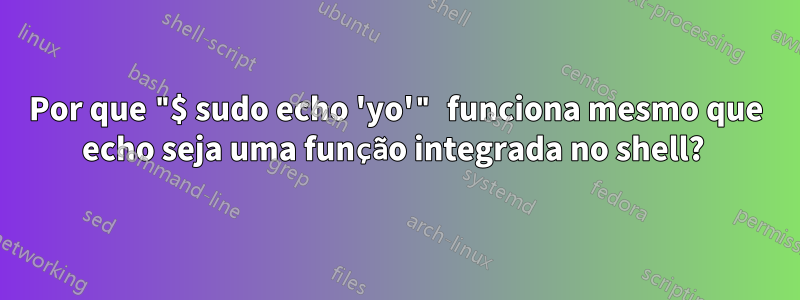 Por que "$ sudo echo 'yo'" funciona mesmo que echo seja uma função integrada no shell? 