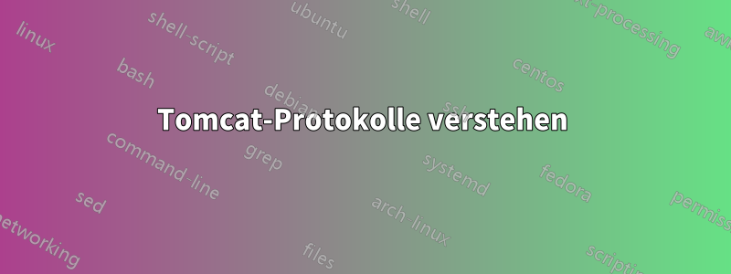 Tomcat-Protokolle verstehen