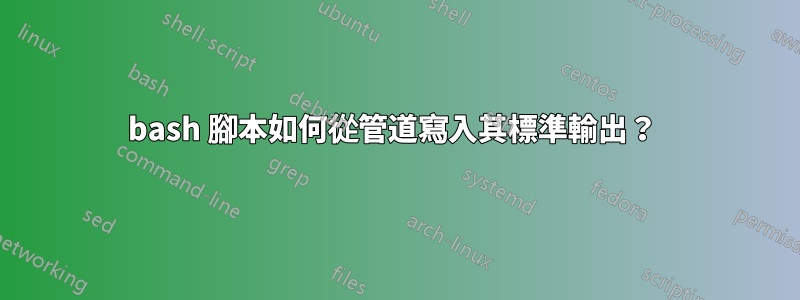 bash 腳本如何從管道寫入其標準輸出？ 