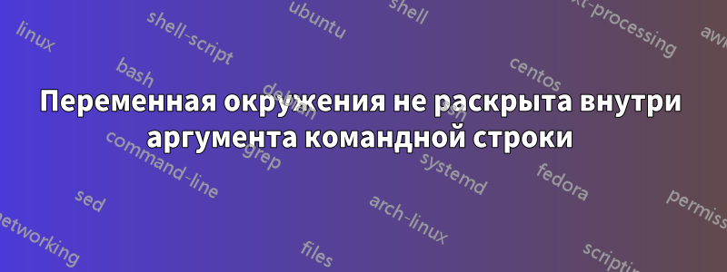 Переменная окружения не раскрыта внутри аргумента командной строки