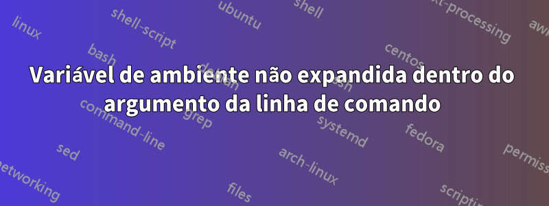 Variável de ambiente não expandida dentro do argumento da linha de comando