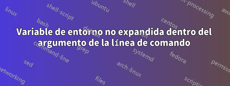 Variable de entorno no expandida dentro del argumento de la línea de comando