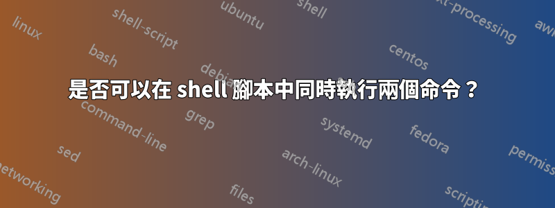 是否可以在 shell 腳本中同時執行兩個命令？