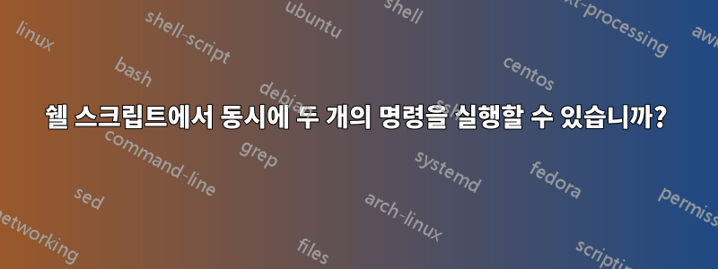 쉘 스크립트에서 동시에 두 개의 명령을 실행할 수 있습니까?