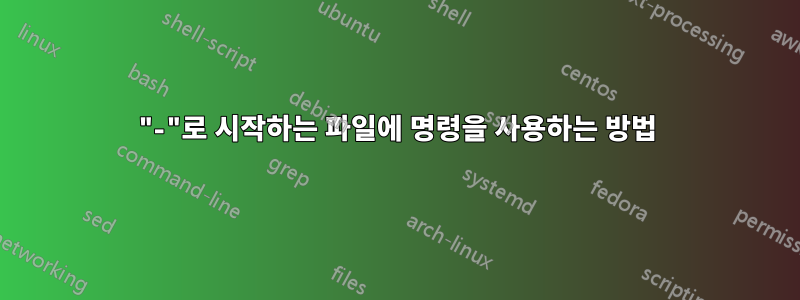"-"로 시작하는 파일에 명령을 사용하는 방법