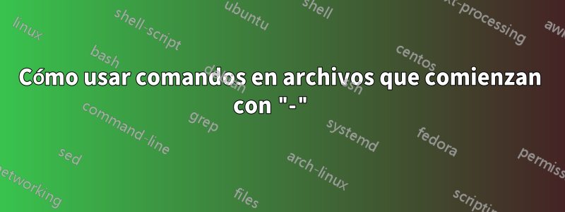 Cómo usar comandos en archivos que comienzan con "-" 