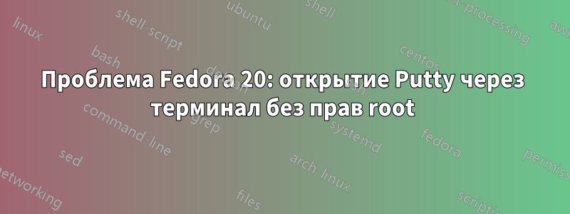 Проблема Fedora 20: открытие Putty через терминал без прав root