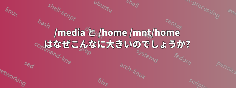 /media と /home /mnt/home はなぜこんなに大きいのでしょうか?