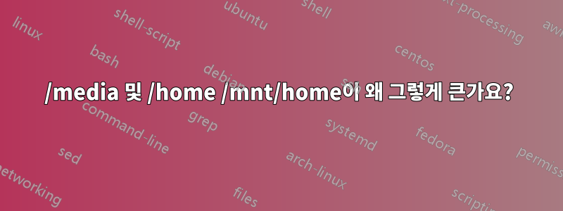 /media 및 /home /mnt/home이 왜 그렇게 큰가요?
