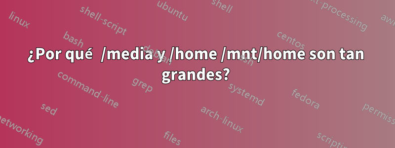 ¿Por qué /media y /home /mnt/home son tan grandes?