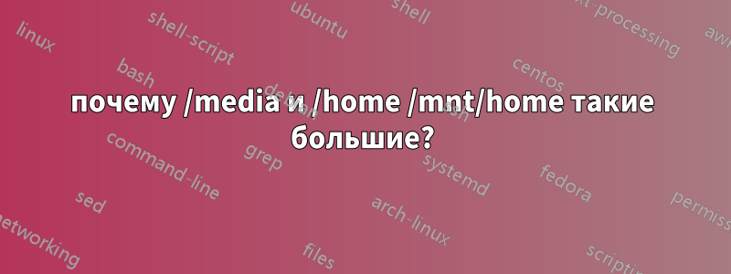 почему /media и /home /mnt/home такие большие?
