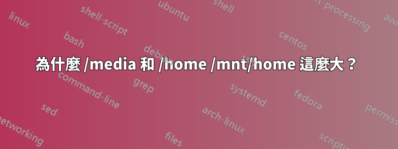 為什麼 /media 和 /home /mnt/home 這麼大?