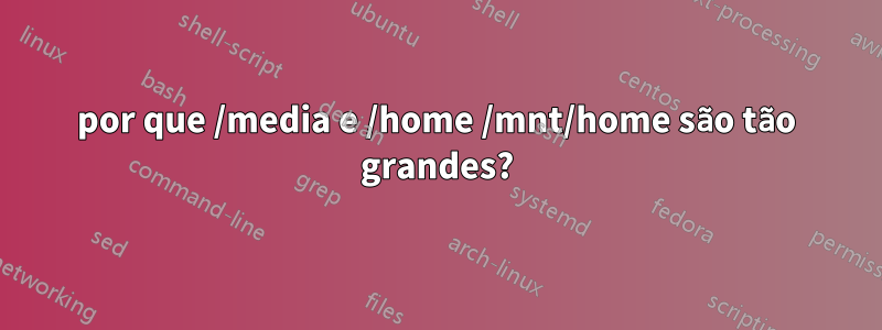 por que /media e /home /mnt/home são tão grandes?