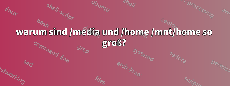 warum sind /media und /home /mnt/home so groß?