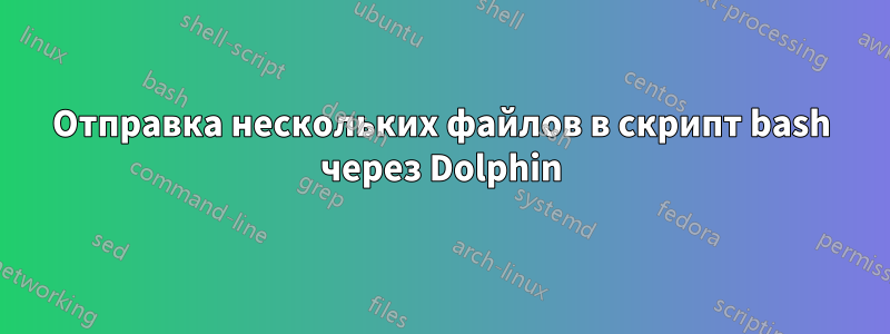 Отправка нескольких файлов в скрипт bash через Dolphin
