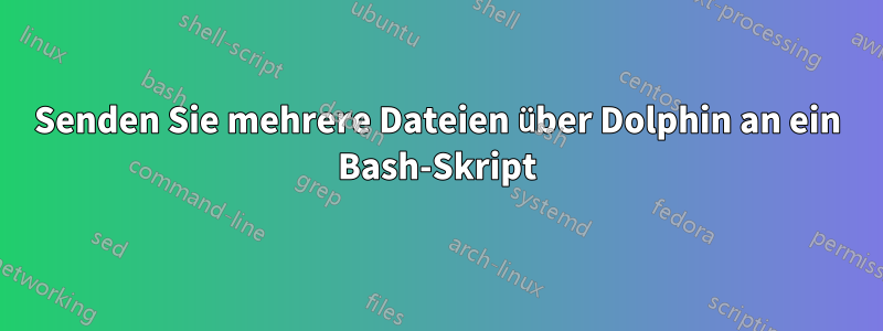 Senden Sie mehrere Dateien über Dolphin an ein Bash-Skript
