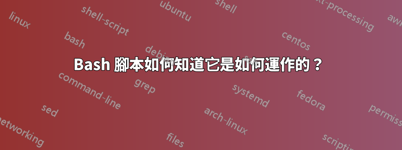 Bash 腳本如何知道它是如何運作的？